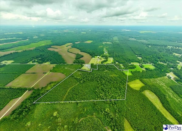53ACRES Old River Rd, Florence, SC 29505 - photo 2