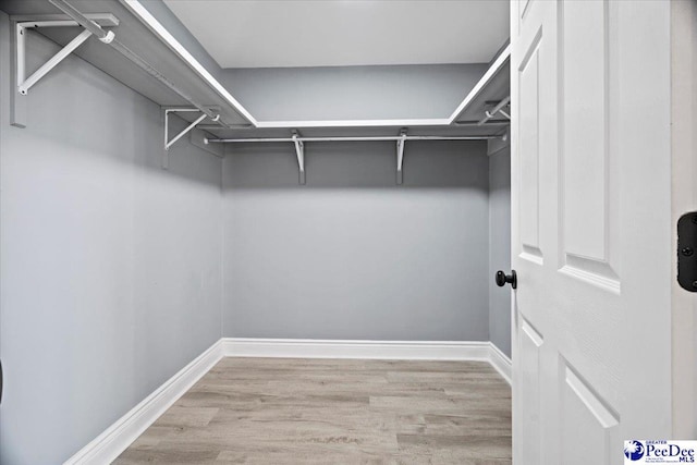 spacious closet with light hardwood / wood-style flooring