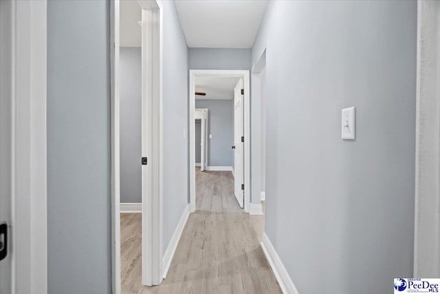 corridor featuring light hardwood / wood-style floors