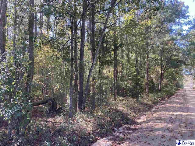 Listing photo 3 for TBD Old Kemper Rd, Lake View SC 29563