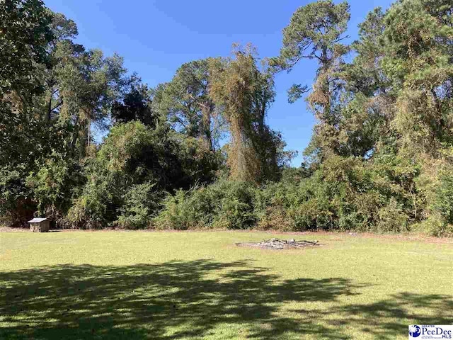 Listing photo 2 for TBD Old Kemper Rd, Lake View SC 29563