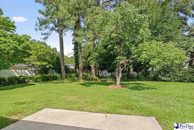 1812 Woods Dr, Florence, SC 29505 - view of yard with a patio area