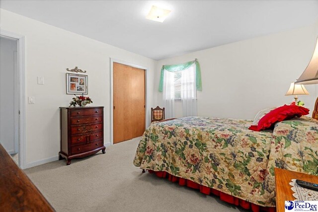 1812 Woods Dr, Florence, SC 29505 - bedroom featuring carpet floors