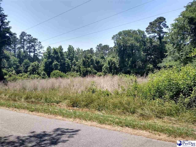 147 Deese Rd, Bennettsville SC, 29512 land for sale