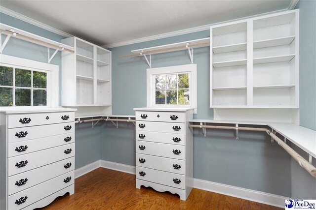 walk in closet with dark hardwood / wood-style flooring