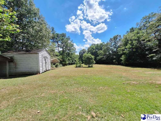 2519 Jamestown Rd, Bishopville, SC 29010 - photo 8