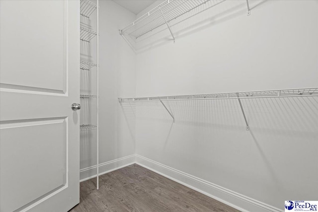 walk in closet with hardwood / wood-style floors