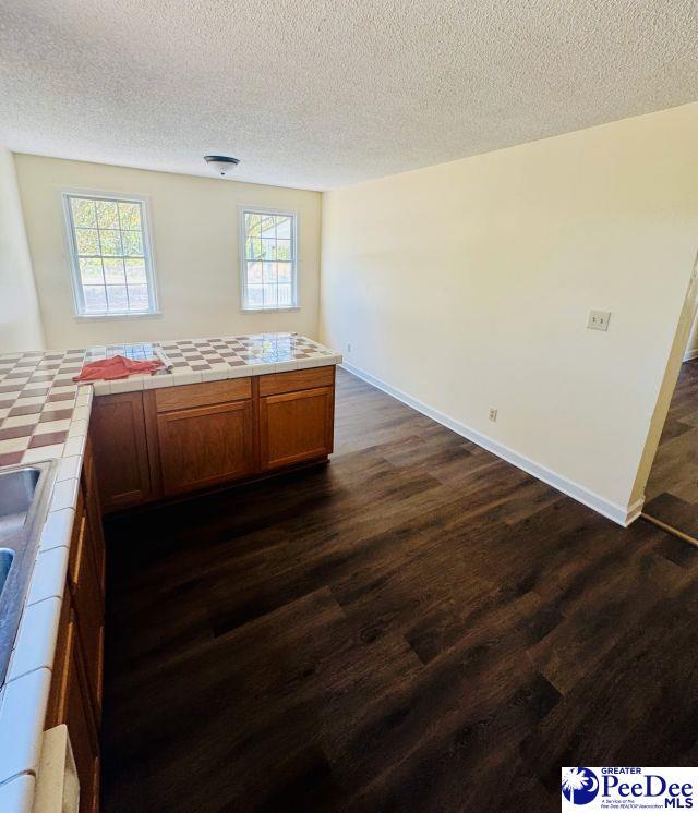 interior space featuring dark wood-type flooring and a textured ceiling