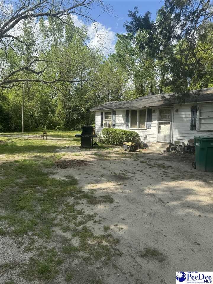 113B S Jones Rd, Olanta, SC 29114 - photo 1