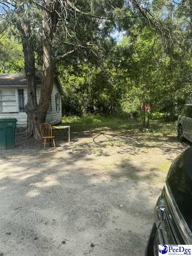 113B S Jones Rd, Olanta, SC 29114 - photo 3