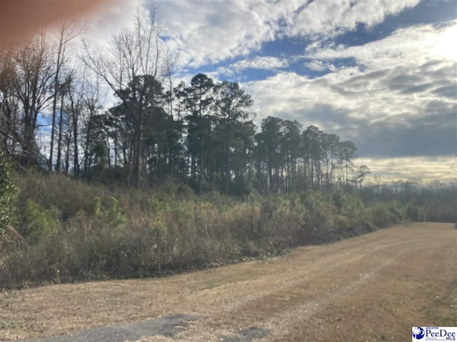 Listing photo 2 for TBD Road 300, Lake View SC 29563