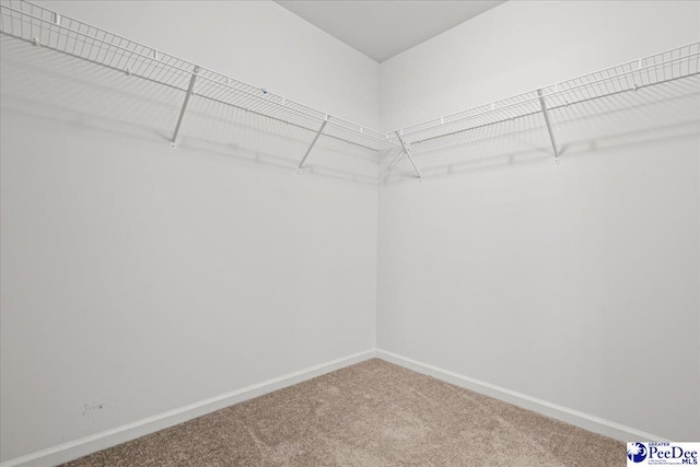 3229 Winding Way Dr, Florence, SC 29506 - walk in closet featuring carpet