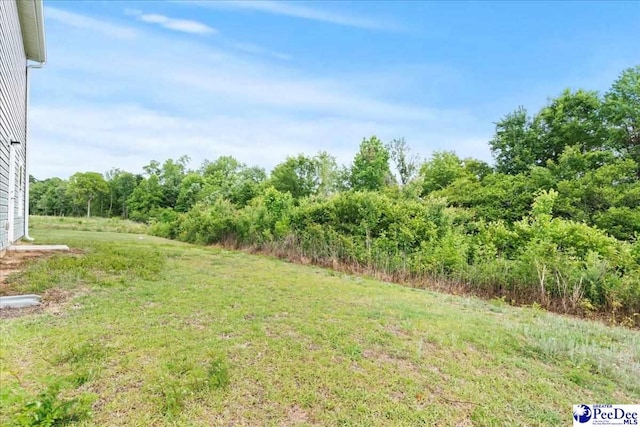 3229 Winding Way Dr, Florence, SC 29506 - view of green lawn