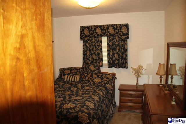1309 E Bobo Newsom Hwy, Hartsville, SC 29550 - photo 4