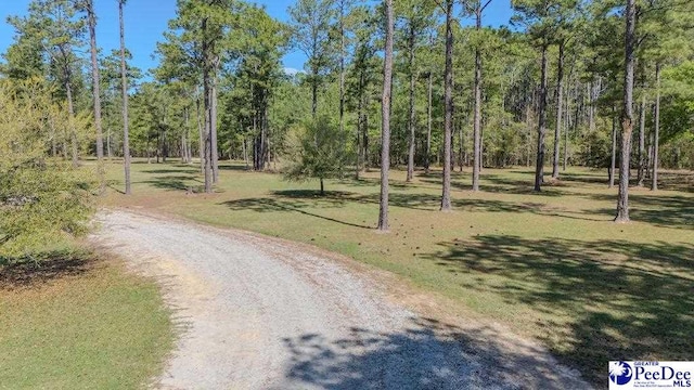 Listing photo 3 for 1315 Hill Harrell Rd, Effingham SC 29541