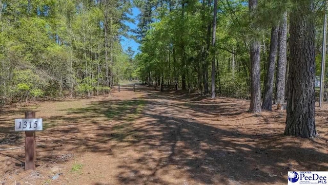 1315 Hill Harrell Rd, Effingham SC, 29541 land for sale