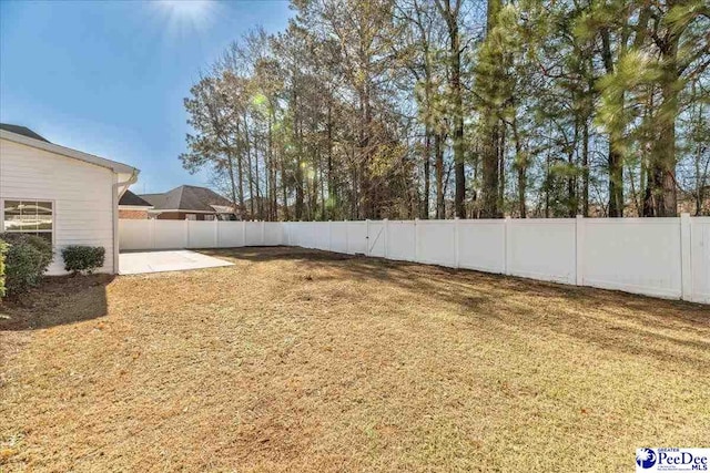 view of yard featuring a patio area