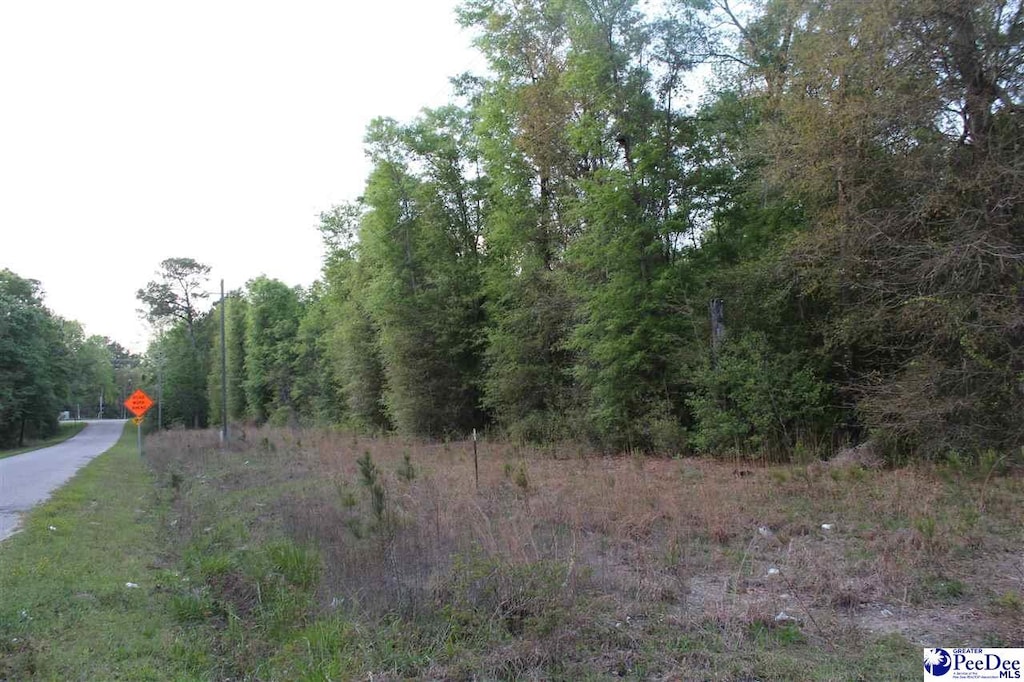 LOT4 Reds Landing Rd, Andrews, SC 29510