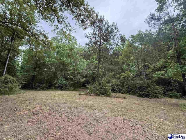 840 Lake City Hwy, Johnsonville, SC 29555 - photo 9
