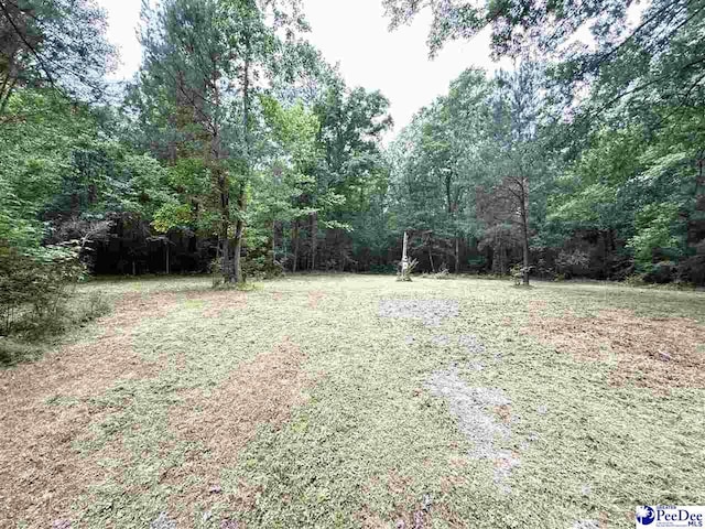 840 Lake City Hwy, Johnsonville, SC 29555 - photo 1