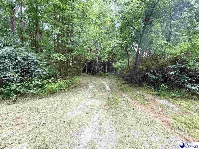 840 Lake City Hwy, Johnsonville, SC 29555 - photo 7
