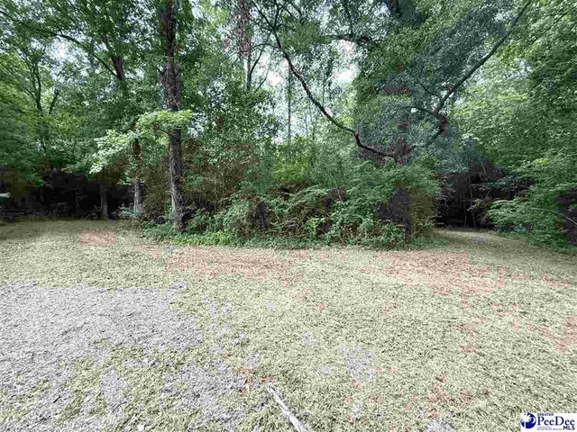 840 Lake City Hwy, Johnsonville, SC 29555 - photo 3