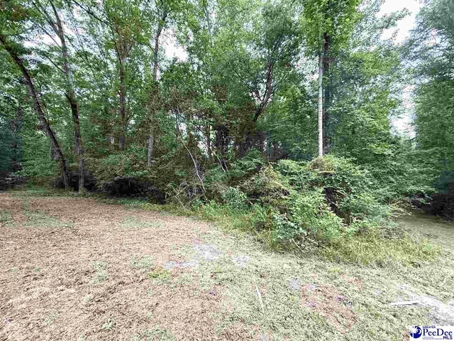 840 Lake City Hwy, Johnsonville, SC 29555 - photo 8