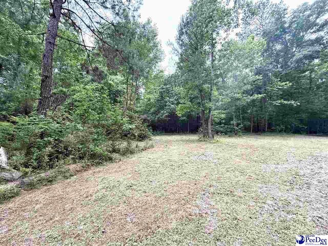 840 Lake City Hwy, Johnsonville, SC 29555 - photo 6