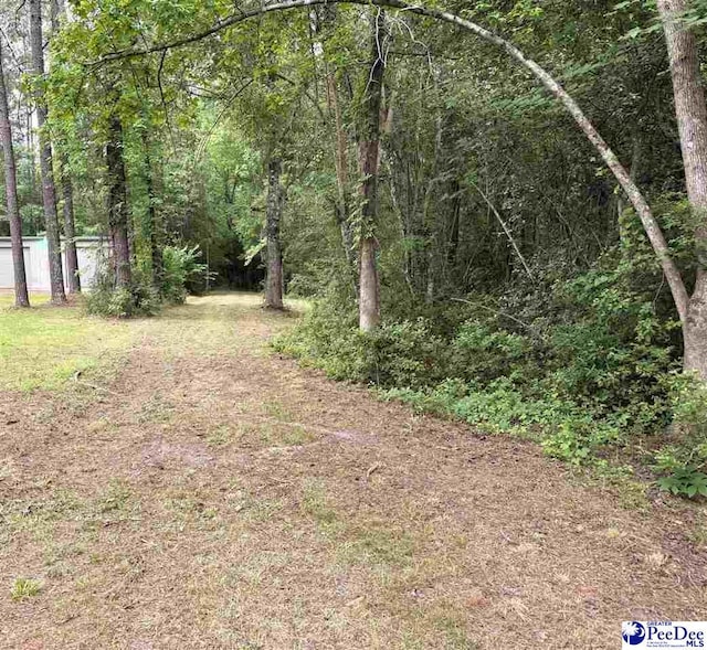 840 Lake City Hwy, Johnsonville, SC 29555 - photo 2