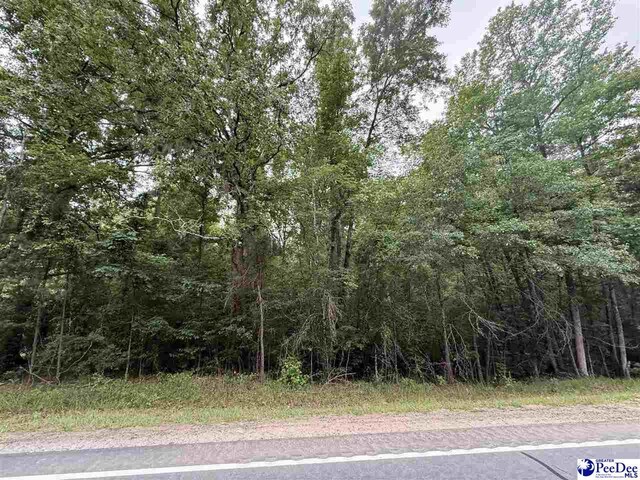840 Lake City Hwy, Johnsonville, SC 29555 - photo 10