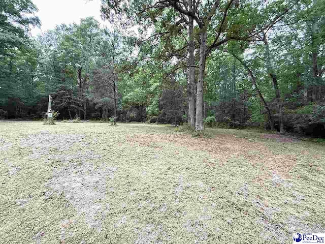 840 Lake City Hwy, Johnsonville, SC 29555 - photo 4