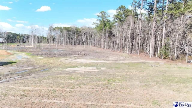 2492 Bridle Path Ln, Timmonsville, SC 29161