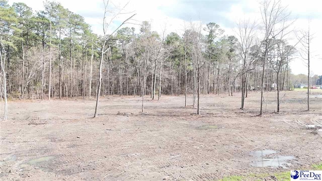2492 Bridle Path Ln, Timmonsville, SC 29161