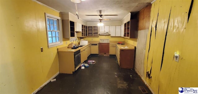 kitchen with ceiling fan, ornamental molding, and sink