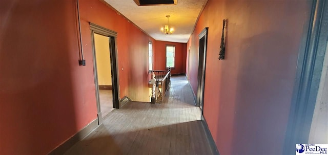 hallway with dark hardwood / wood-style flooring