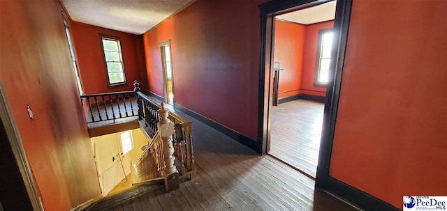 hall featuring dark hardwood / wood-style floors