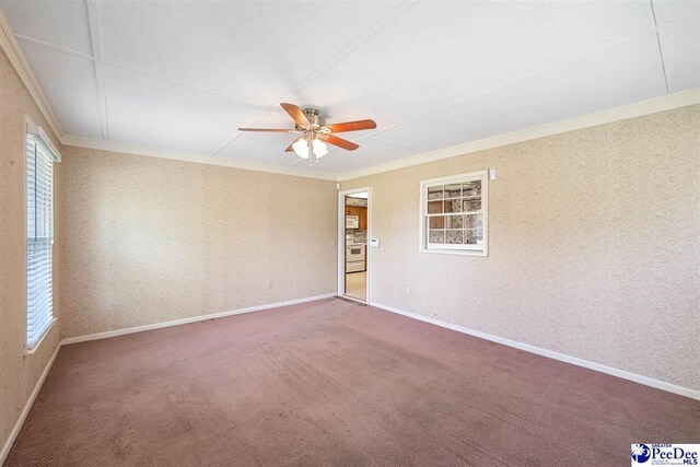 3116 Kenfield Ln, Florence, SC 29505 - carpeted spare room with ornamental molding, a ceiling fan, healthy amount of natural light, baseboards, and wallpapered walls