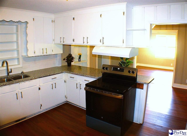 kitchen featuring a sink, under cabinet range hood, dark wood-style floors, and electric stove