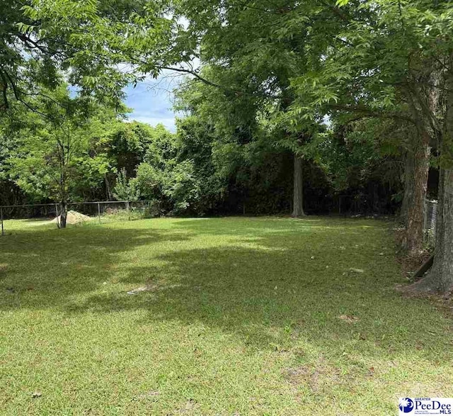 304 Johnson St, Cheraw, SC 29520 - photo 2