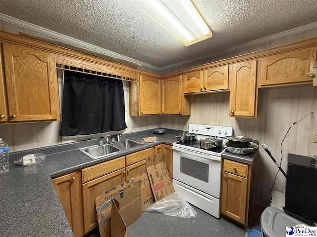 304 Johnson St, Cheraw, SC 29520 - photo 5