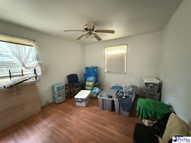 304 Johnson St, Cheraw, SC 29520 - photo 8