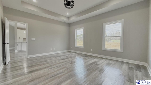 spare room featuring a raised ceiling and light hardwood / wood-style floors