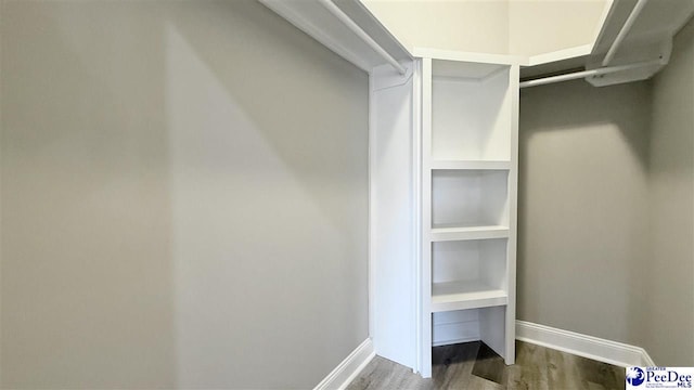 spacious closet with wood-type flooring