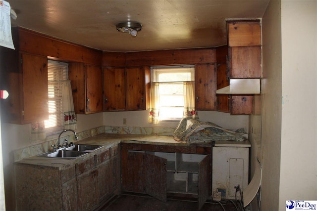 kitchen with sink and a wealth of natural light