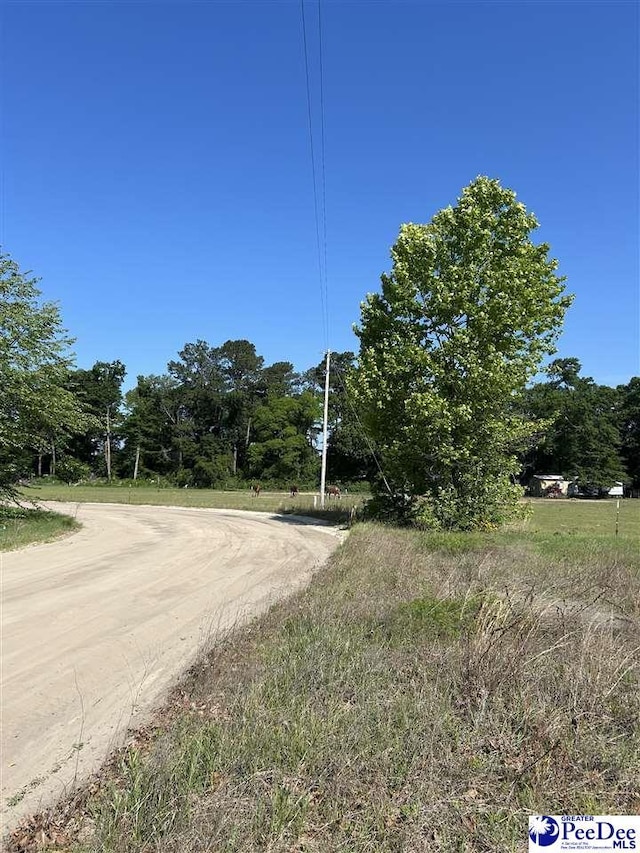 TBD Treasure Cove, Latta, SC 29565 - photo 4