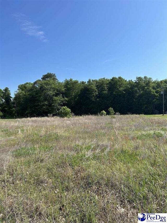 TBD Treasure Cove, Latta, SC 29565 - photo 6