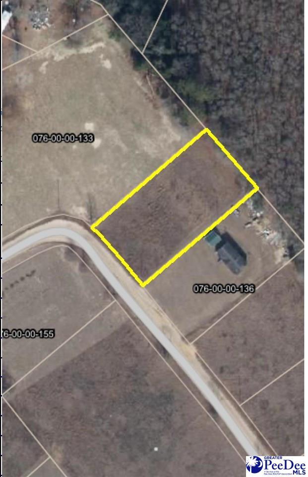 TBD Treasure Cove, Latta, SC 29565 - photo 1