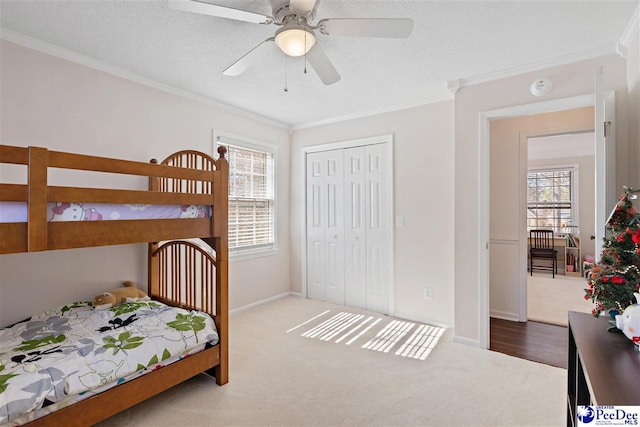 bedroom featuring ornamental molding, carpet, and multiple windows