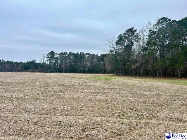 TRACT2 Kemper Church Rd, Lake View, SC 29563 - photo 14