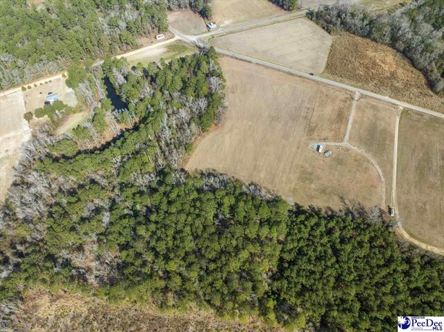 TRACT2 Kemper Church Rd, Lake View, SC 29563 - photo 9